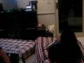 Paul Anka- 