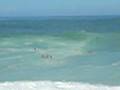 Big Surf Rescue