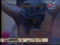 videos de SEMANA SANTA SEVILLA CAMPANA 2008 DOINGO DE RAMOS