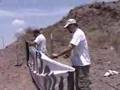 how 2 start a Ron Paul Revolution: Phoenix style #2