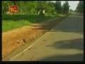 videos de Wanni Operation 04/01/2009 - Many LTTE activities in Kilinochchi