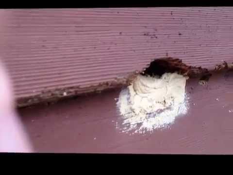 how to repair wood siding