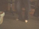 LilDelly-C-walk LilDelly-C-walk