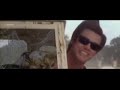 Ace Ventura parchieggo pierfetto