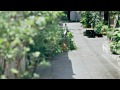 【公式】『Pokémon GO』 初公開映像 Go