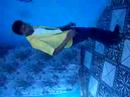 mj  guim cover  (fmc)  {s�o   jo�o de meriti venda velhaH }