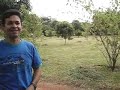 133 Tubarc - A Frutificação Pública