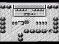 Safari PKMN Glitch