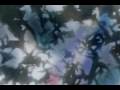 In the Flowers Animal Collective. Unofficial Music Video