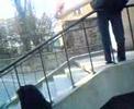 JARANIE SPOREGO BLANTA BIG JOINT