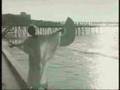 Assistir ao v�deo