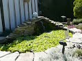 Backyard Pond Backyard Pond
