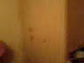 cincan productions 1