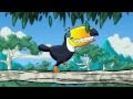 The Toucan Song