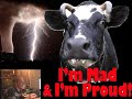 TV News Prank- Tornado Throws Cow into House