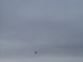 Final flight of the Floride