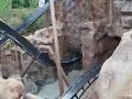 Black Mamba Phantasialand