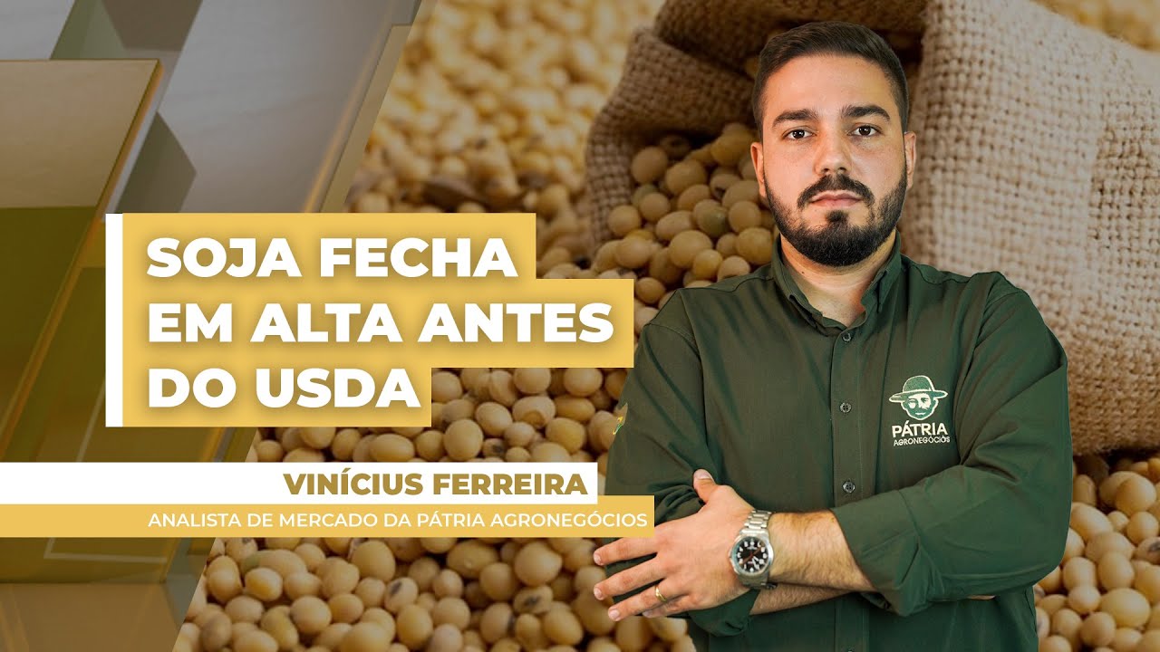 FECHAMENTO DE MERCADO DA SOJA - EDIÇÃO 11-09-2025