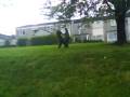 denim rollin down a hill