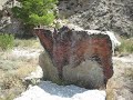Bisonte rupestre Bisonte rupestre