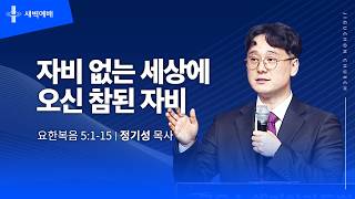 자비 없는 세상에 오신 참된 자비