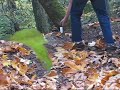 Mini Black / Flash Powder Explosion