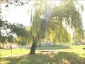 Komunalci krenuli u najavljenu akciju