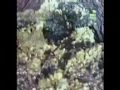 Diez animales mortiferos - Parte 2/5 - Animales - «Misterios»
