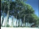 BMw 2006 reel