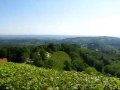 Austria 2008 - Kitzeck: Highest Wine-Growing Village