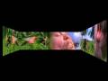 Curator Klaus Biesenbach discusses Pipilotti Rist: Pour Your Body Out (7354 Cubic Meters), at MoMA