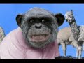 Brokeback Monkey (R edit)