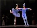 bluebird pas de deux