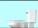 Sanitary Toilet Seat Sanitary Toilet Seat