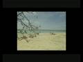 Seco Island Kite Safari Freestyle Academy