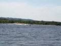 Missisippi Rooster Tail
