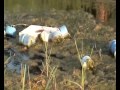 Parque Ecol�gico do Gameiro