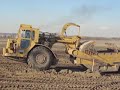 d9 cat pushing scrapers