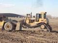 d9 cat pushing scrapers