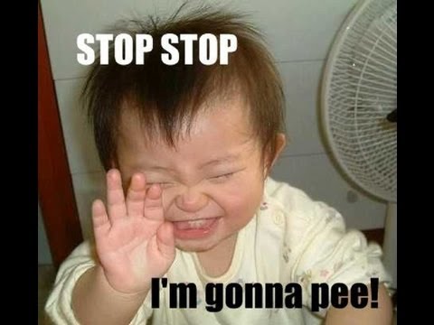 Quotes - Funny Quotes 10 Funniest Quotes I could find Funny Quotes.