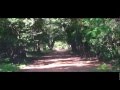 Sigiriya