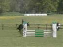 My Horses