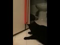 Fling-ama-String