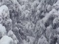 Heres a clip of Kye Peterson and freinds shredding big mountain lines in the U.S. and Europe.