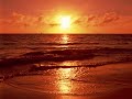 Sunshine State feat. Snake Davis - Atlanta (Sunshine State C