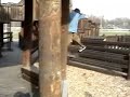 Balls=dumb