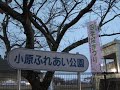 小原町四季桜