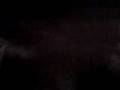 videos de Swingen!! Haha echt grappig