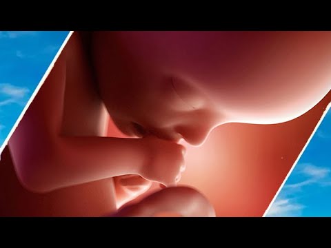 What Happens To Unborn Babies #HolySpirit / Hugo Talks – Hugo Talks
