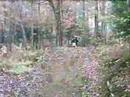 Amateur Video Trailer Amateur Video Trailer